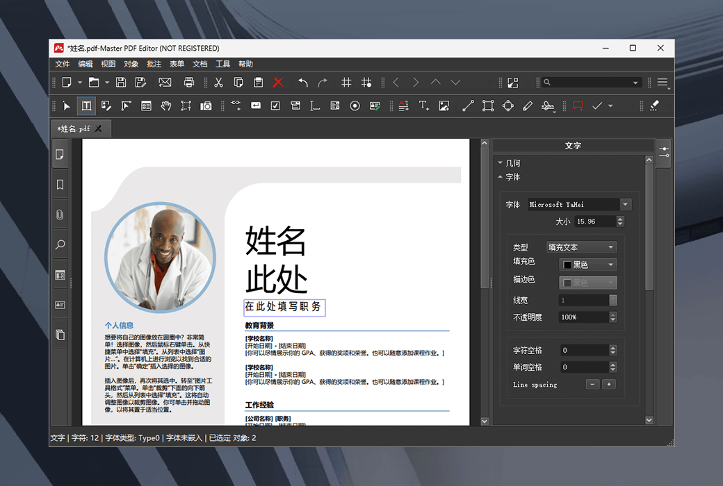 Master PDF Editor 软件界面